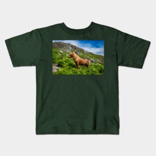 Welsh Mountain Pony Kids T-Shirt